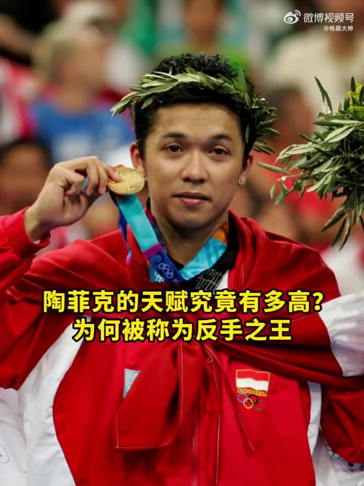 包含马来西亚羽毛球队逆转印度羽毛球队，陶菲克关键制胜的词条