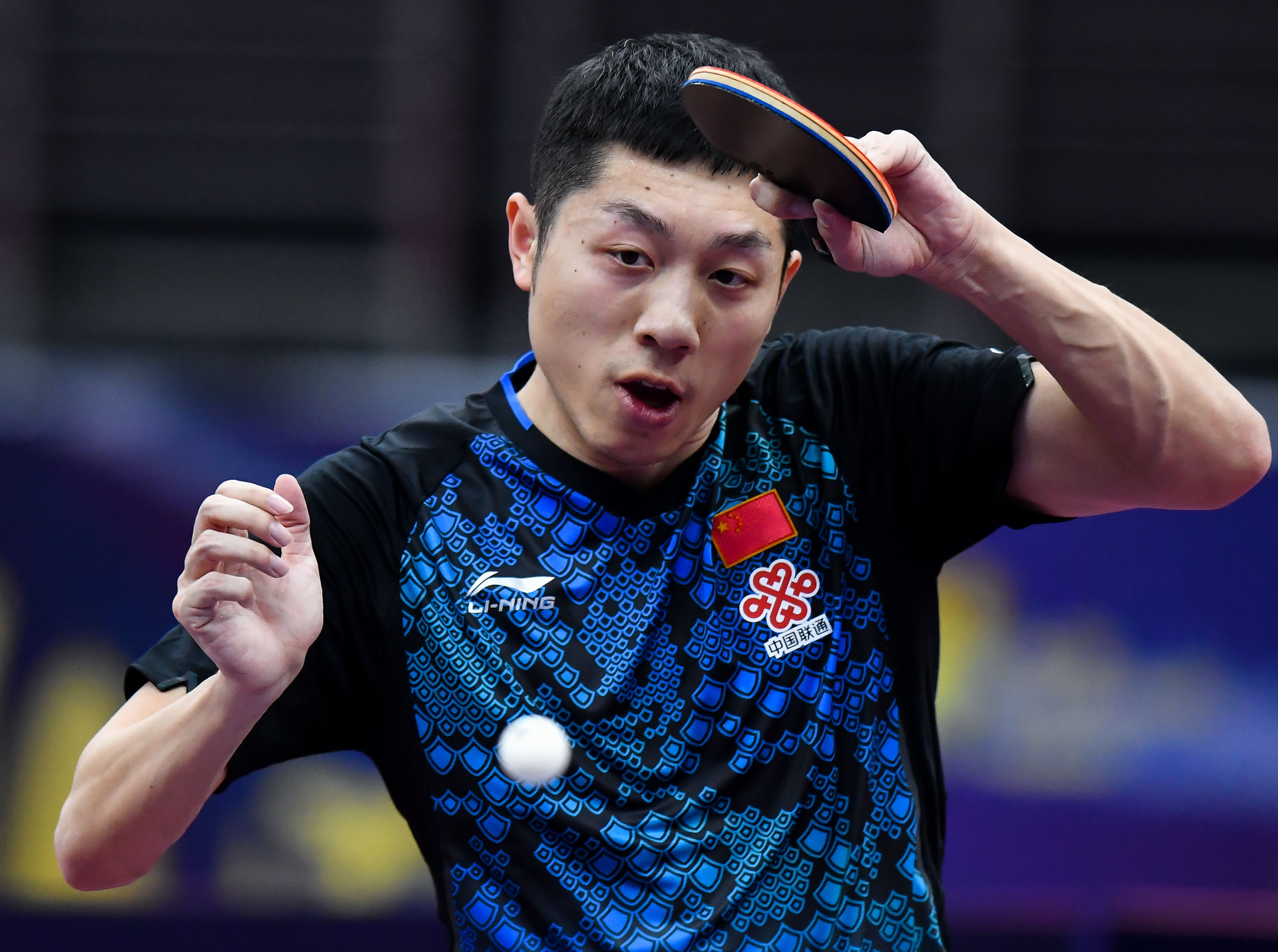 比利时乒乓球队强势中国乒乓球队，许昕打破历史纪录的简单介绍