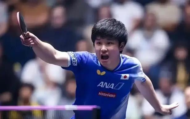 奥地利队鏖战法国队，张本智和关键制胜