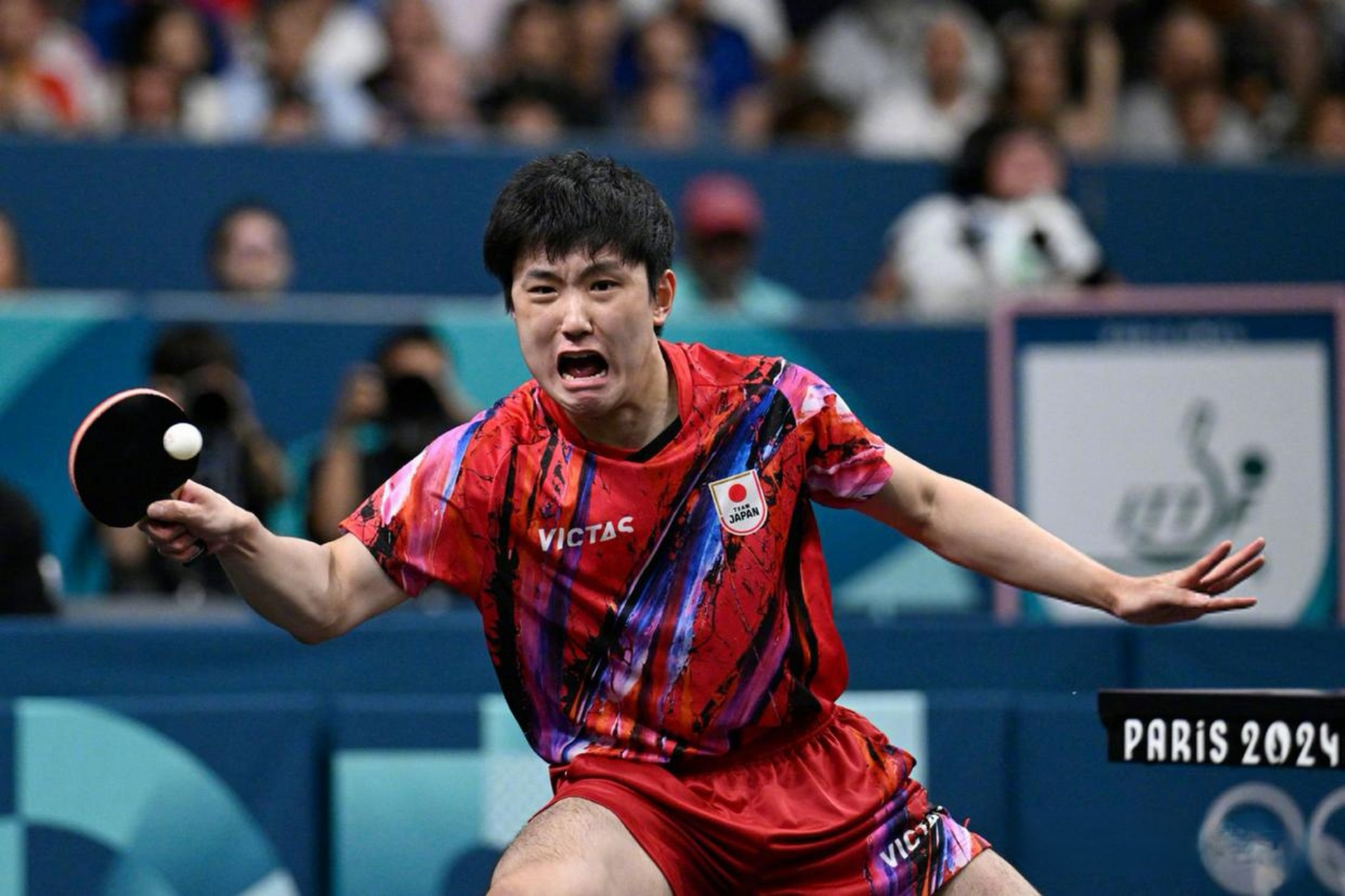 法国队完胜德国队，张本智和扛起全队