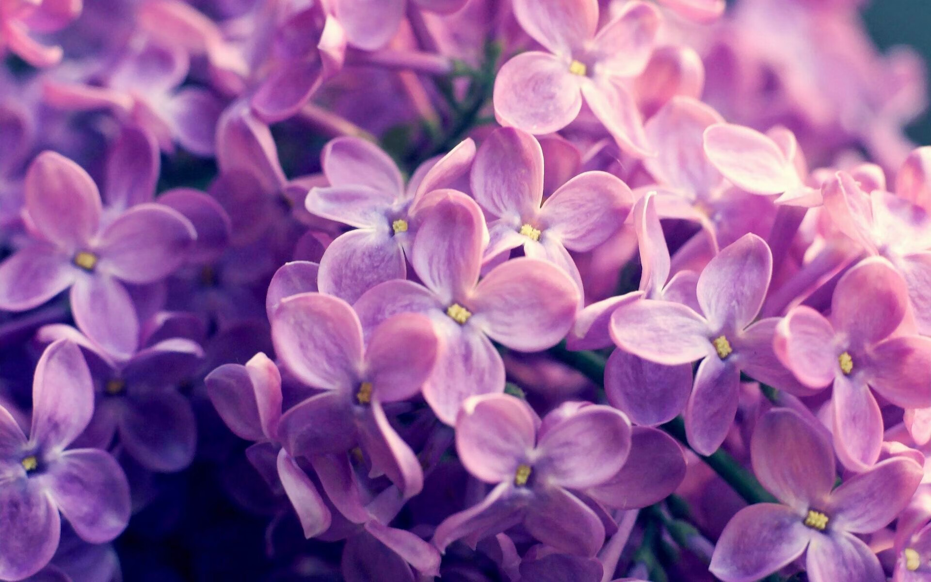 塞外苦寒，尼古拉斯化身江南约基奇，浙江轻取吉林迎连胜