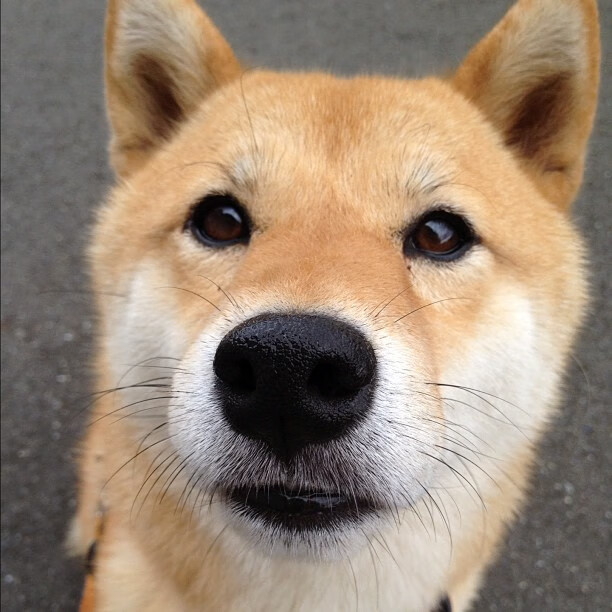 冷雨夜雪中送炭！瑞士焦点战，赖斯用教科书级表现完成自我正名