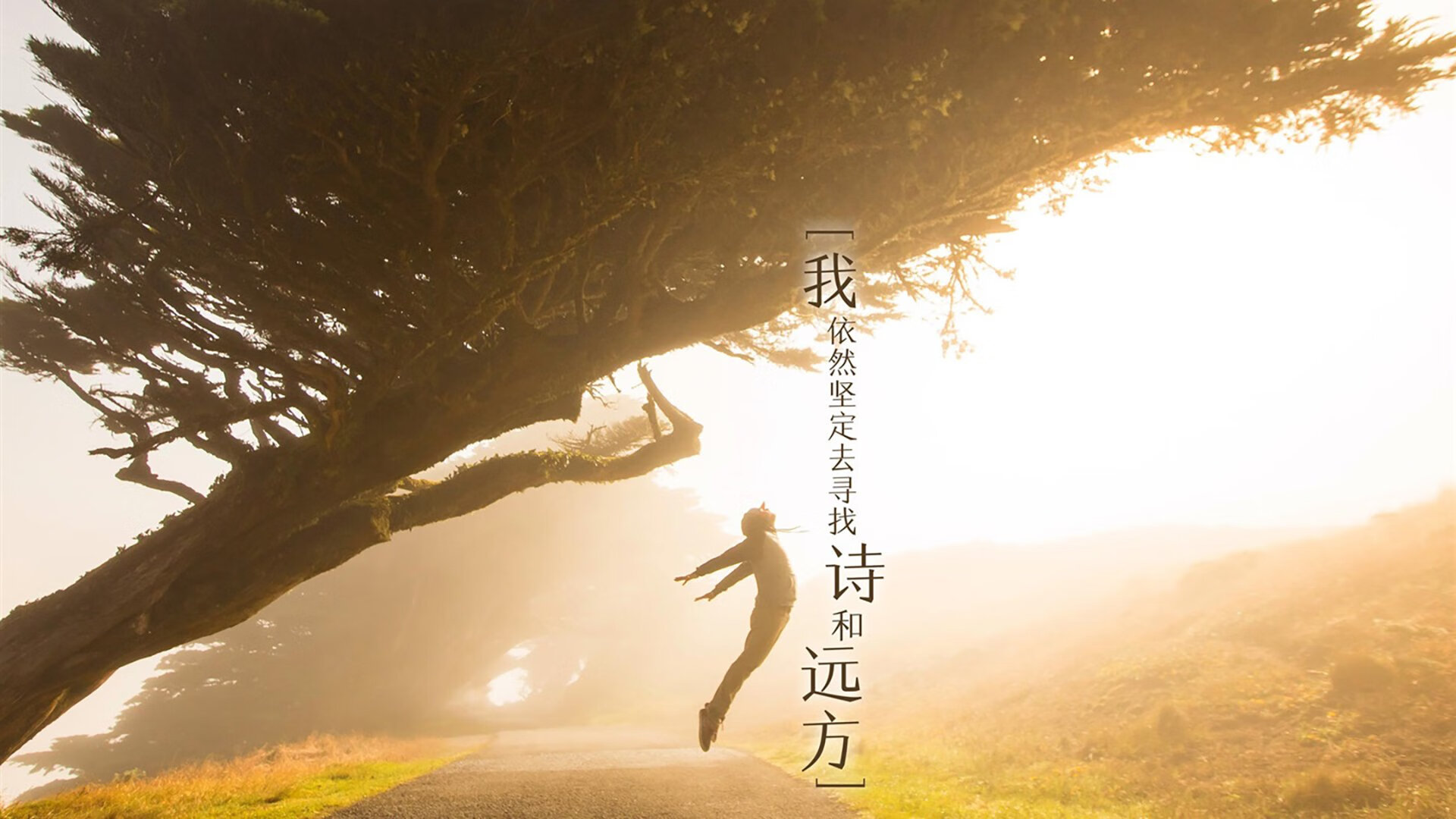 锁死阿根廷尖刀！奥纳纳铸就那不勒斯巅峰对决胜利