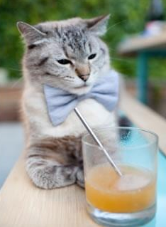 冰与火之歌，世界杯狂热中的一捧寒地惊雷