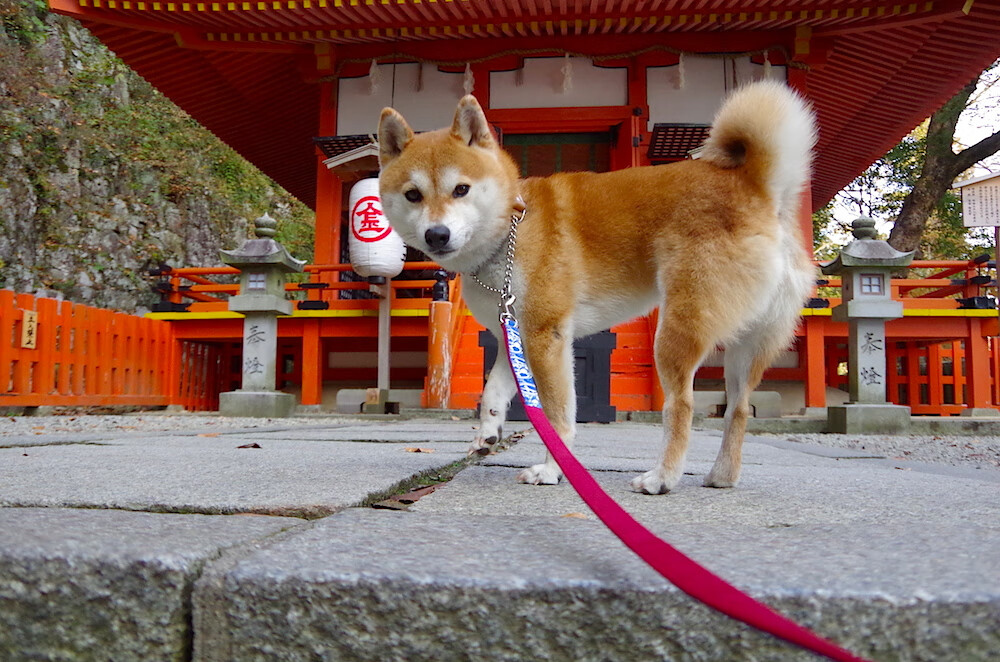 从罪人到英雄，特奥的末节11分钟