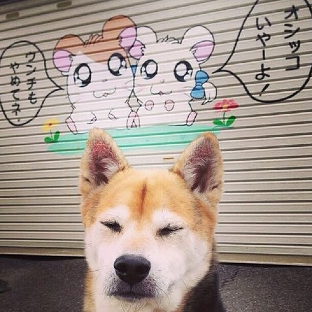 破防的艺术，战术纪律如何击败豪门巨星—英超争冠与拜仁失利的共同启示