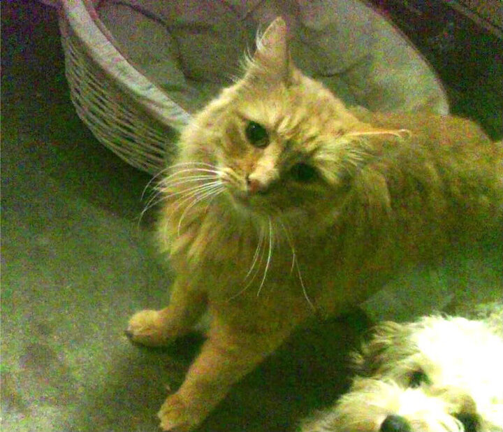 别叫我英雄，我只是在世界的B面独行—当独行侠扼住命运的喉咙