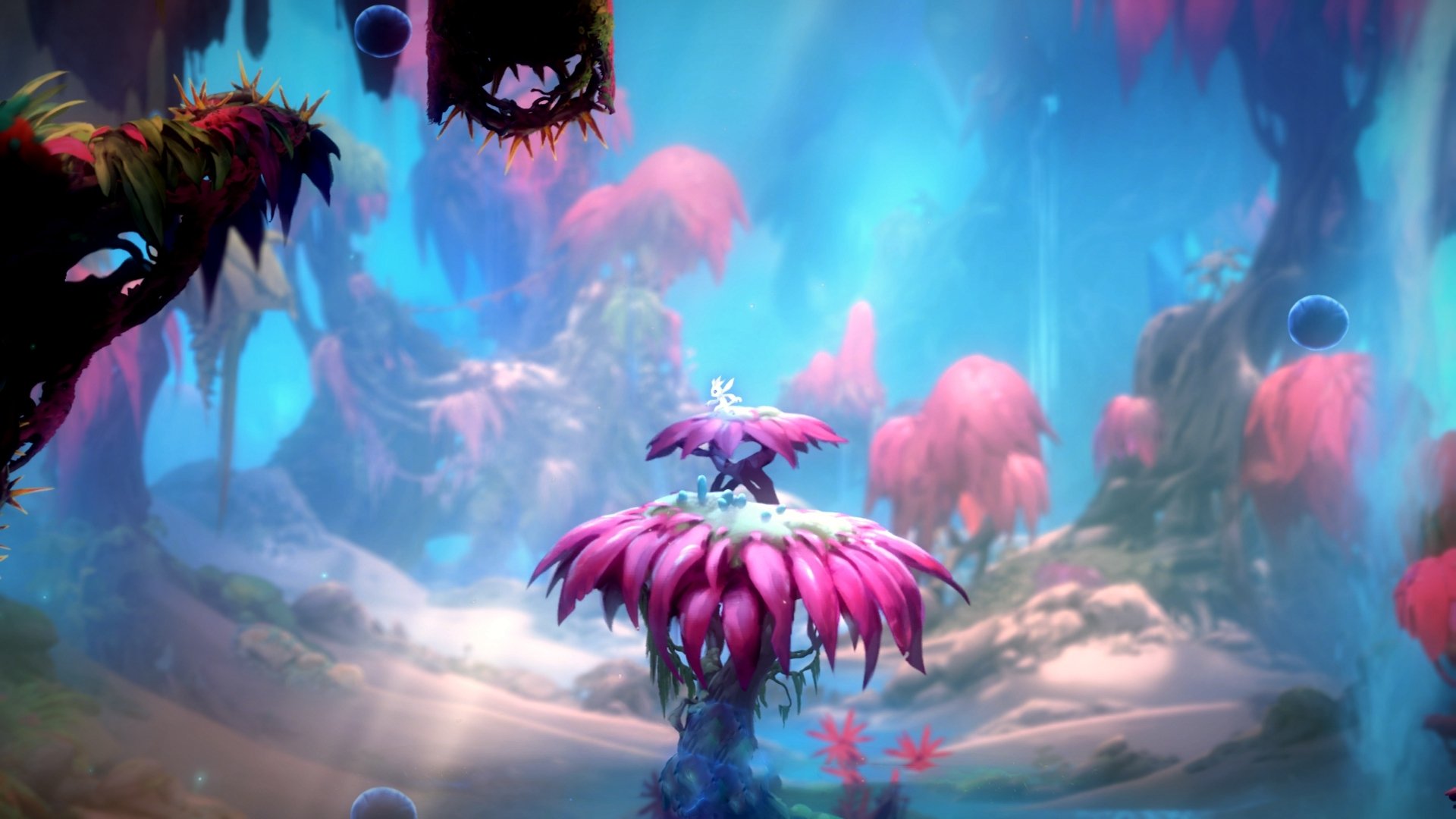 当欧冠之夜降临CBA，吉林的寒冰风暴如何碾压天山脚下