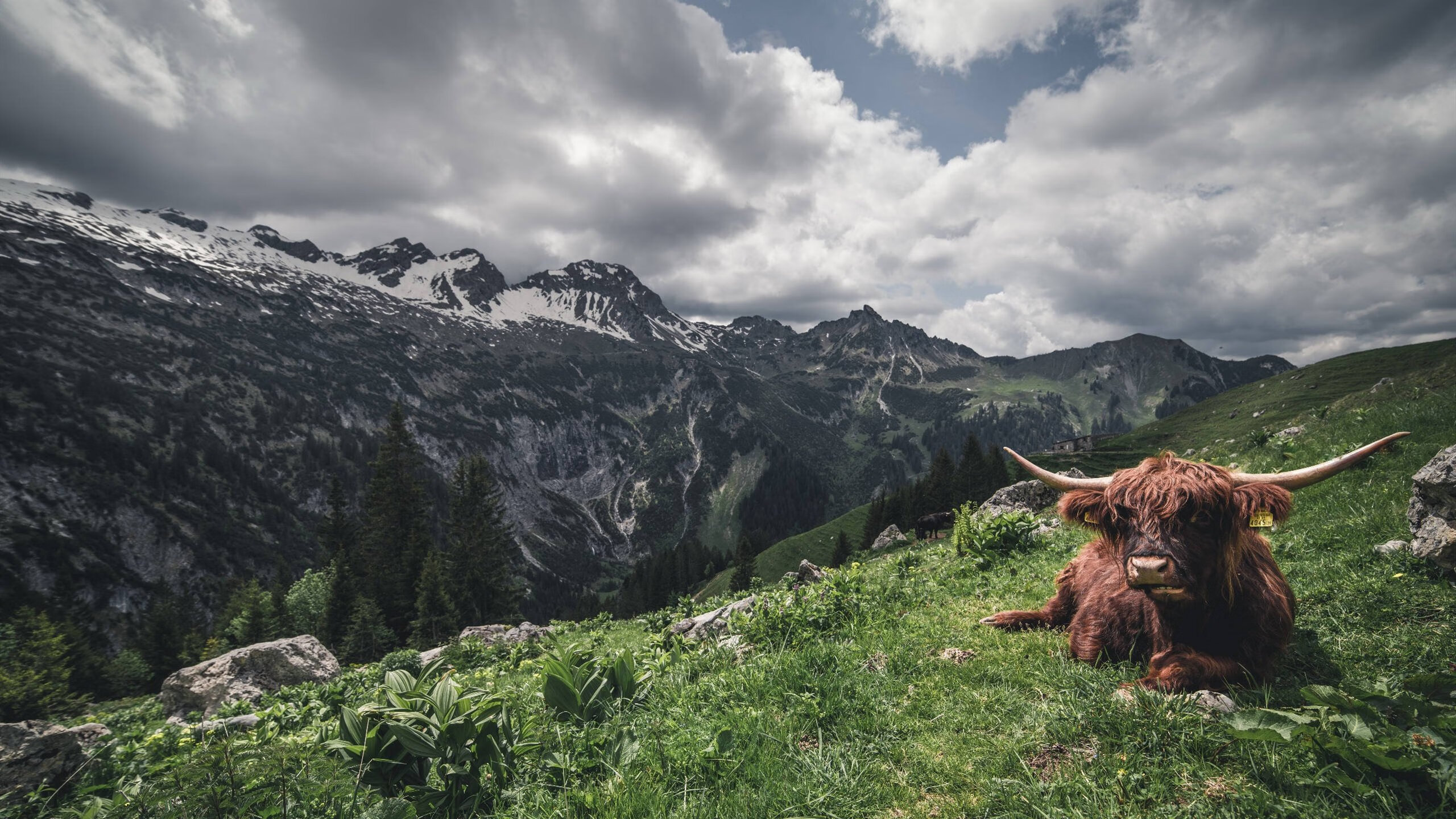 蜂芒毕露，保罗末节独取17分，黄蜂刺穿快船防线