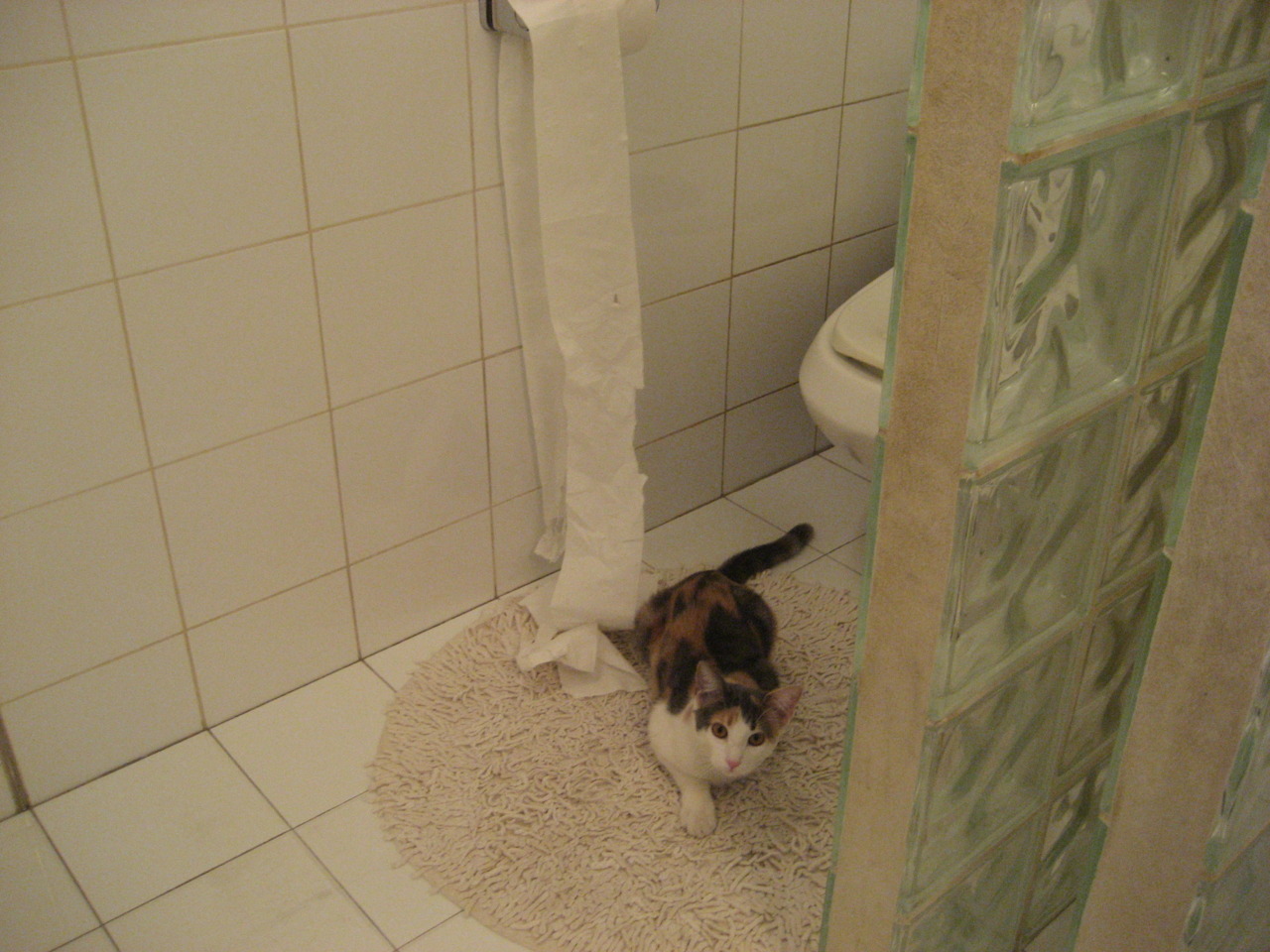 足篮交响，欧冠决赛焦点战，北京队红色浪潮连续得分压制雷霆