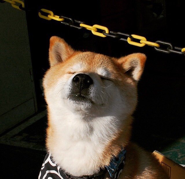 迪亚斯，今夜交响乐的指挥家