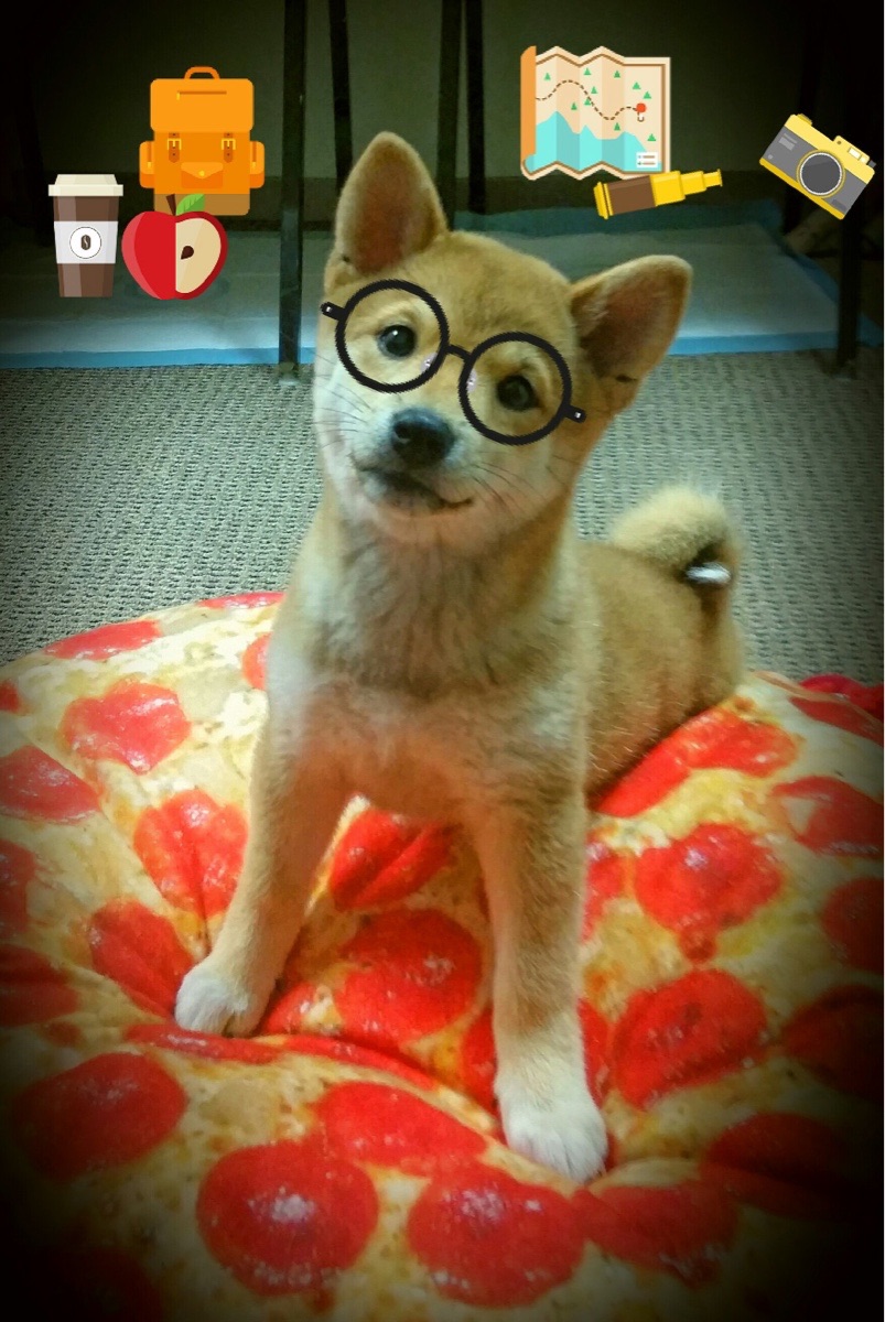 第七次夺权，乔治的红色交响乐终章